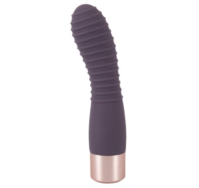 Elegant Vibrator Flexy Vibe